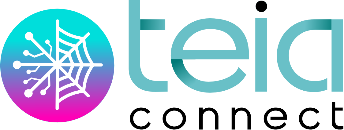 Logo Teia Connect